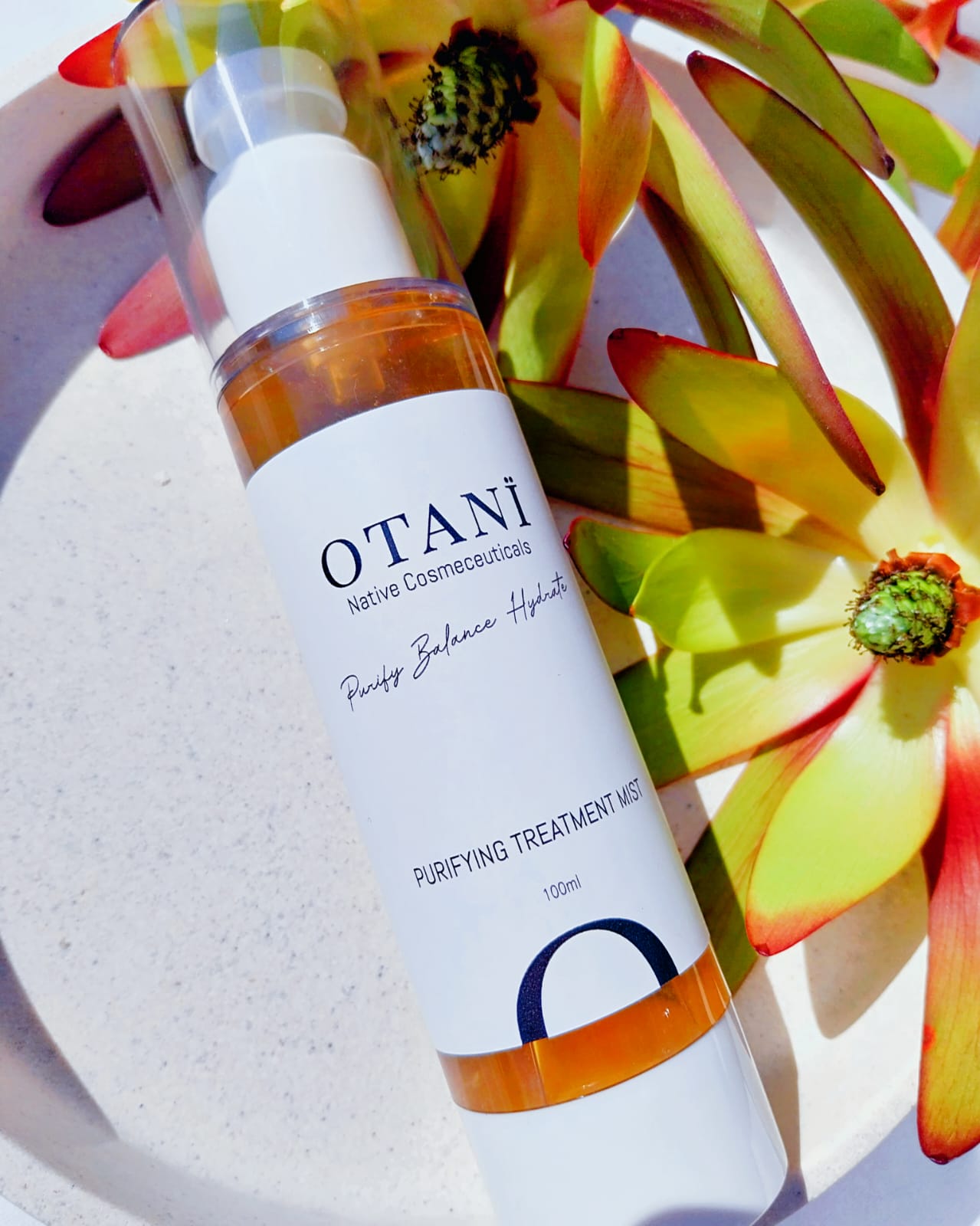 Purifying Treatment Mist