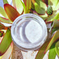 Skin Perfecting Exfoliant