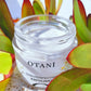 Skin Perfecting Exfoliant